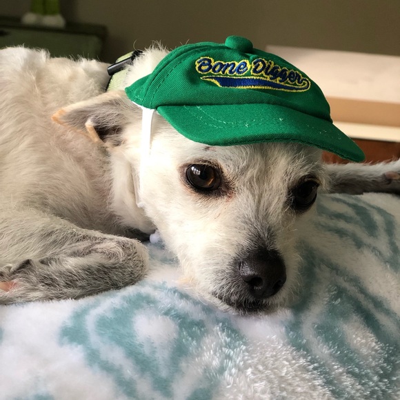 Meet your Posher, Laura - Picture 2 of 2